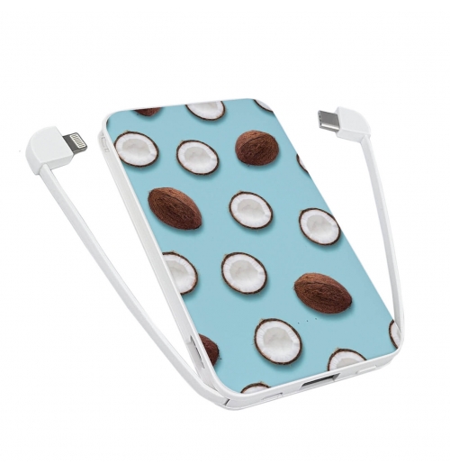 Повербанк ZIZ Кокосы 5000 мАч